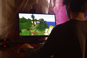 a simulator game